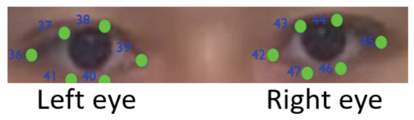 Jemr 16 00002 g003 Jemr 16 00002 g003
