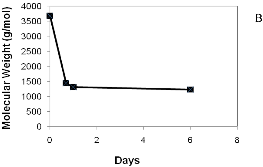 Jfb 02 00173f10b 1024