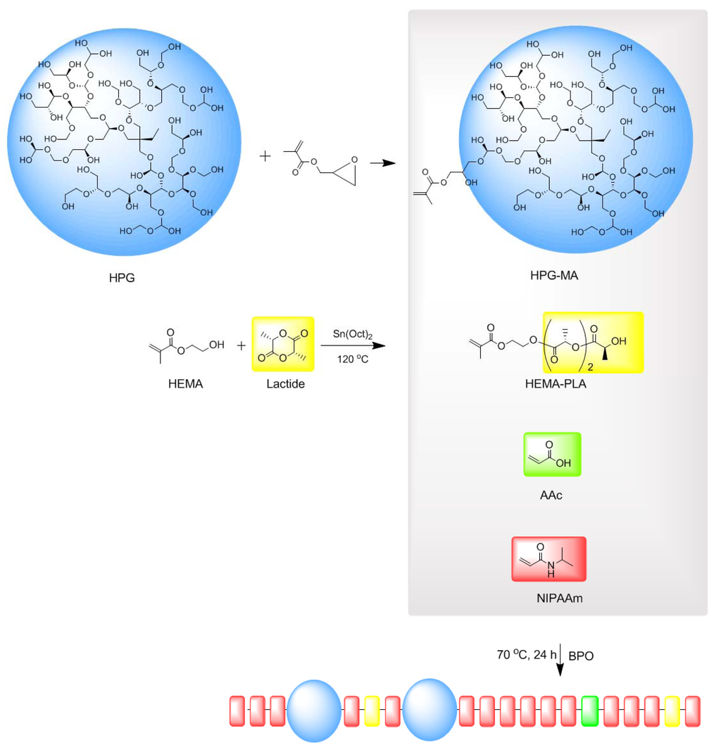 Jfb 02 00173f12 1024