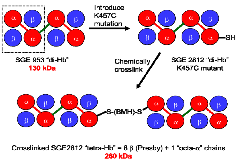 Jfb 03 00061 g001 1024