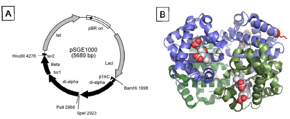 Jfb 03 00061 g002 1024