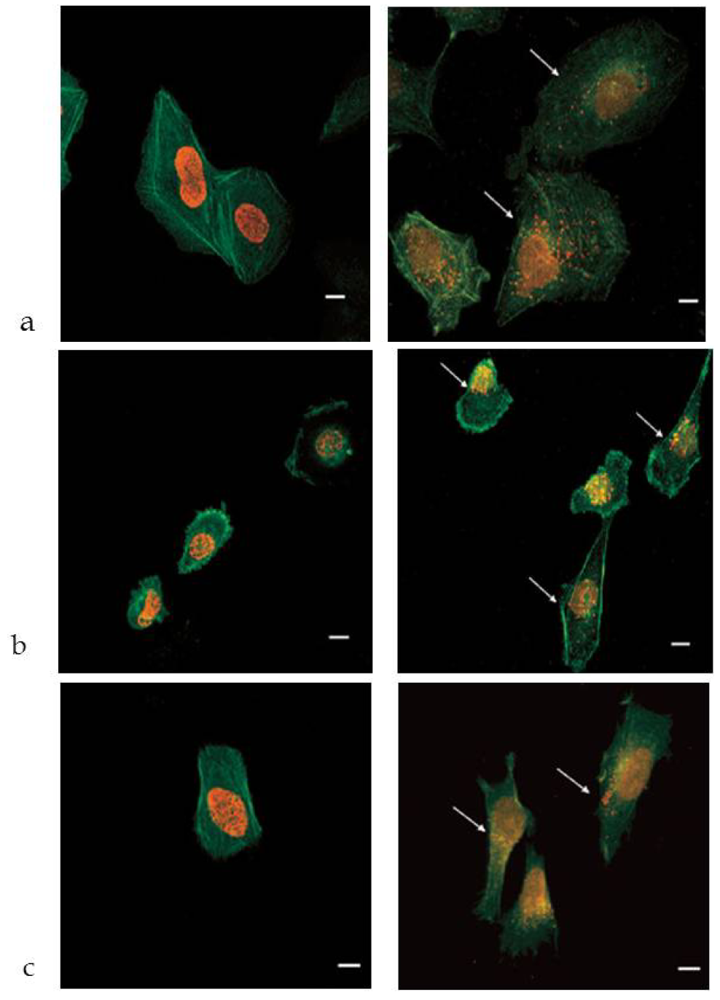 Jfb 03 00079 g012 1024