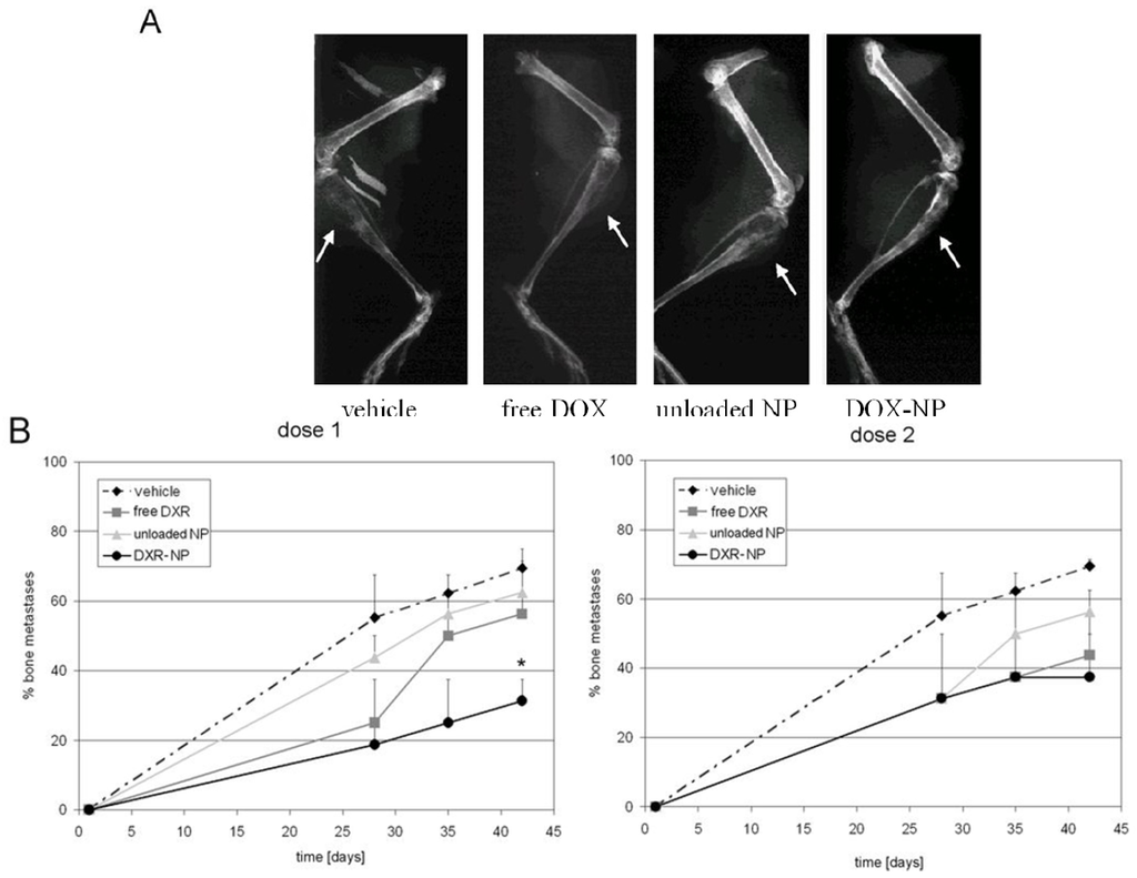 Jfb 03 00079 g013 1024