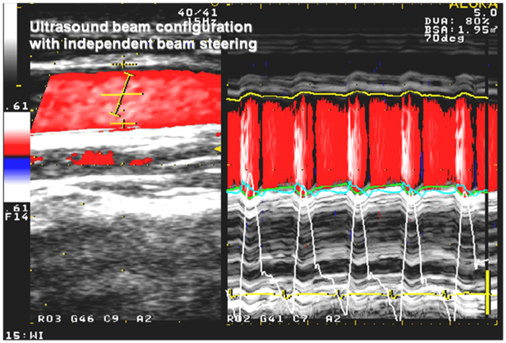 Jfb 03 00100 g001 1024