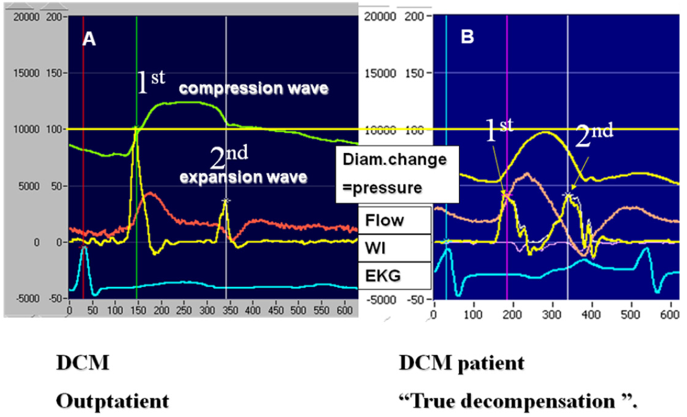 Jfb 03 00100 g002 1024