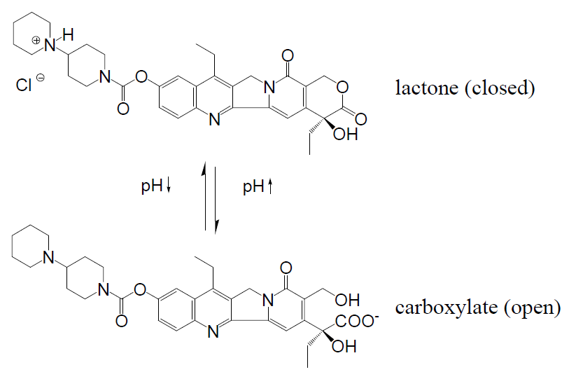 Jfb 03 00131 g002 1024