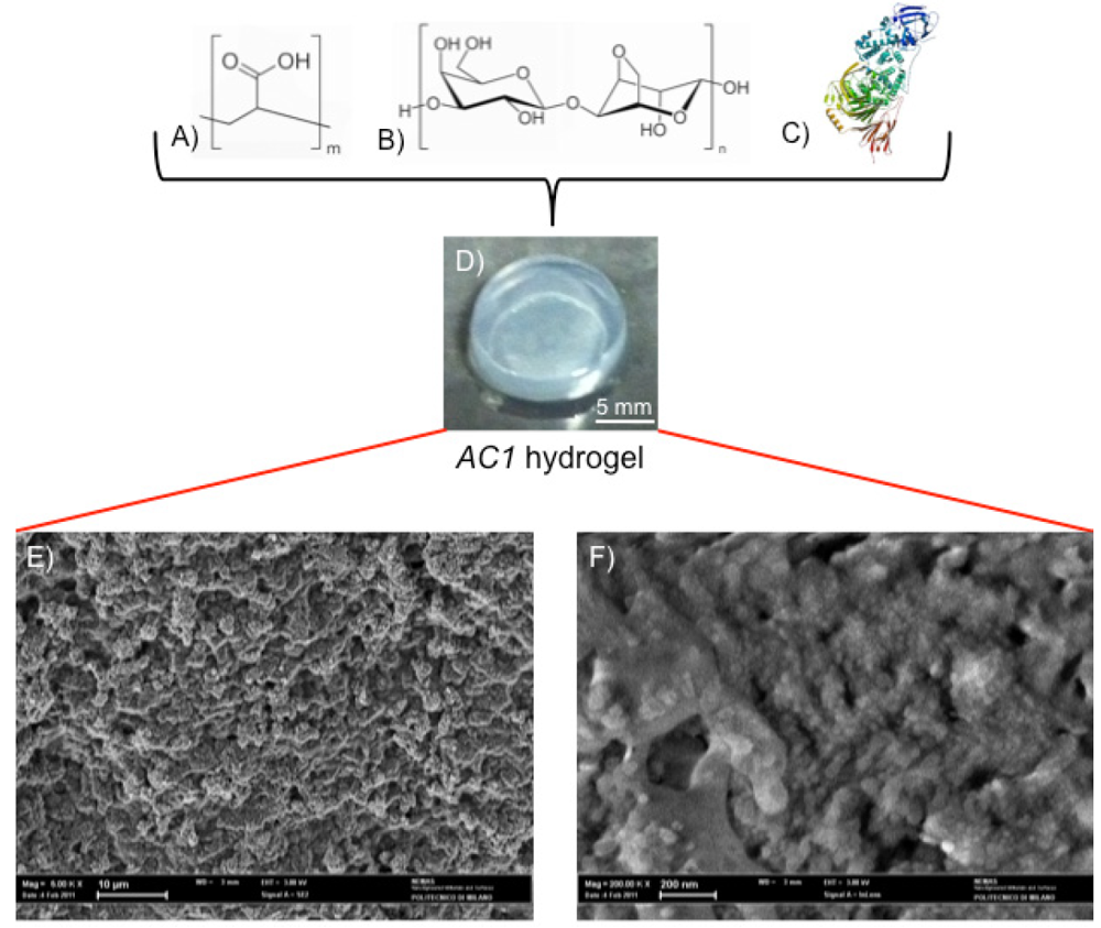 Jfb 03 00199 g001 1024