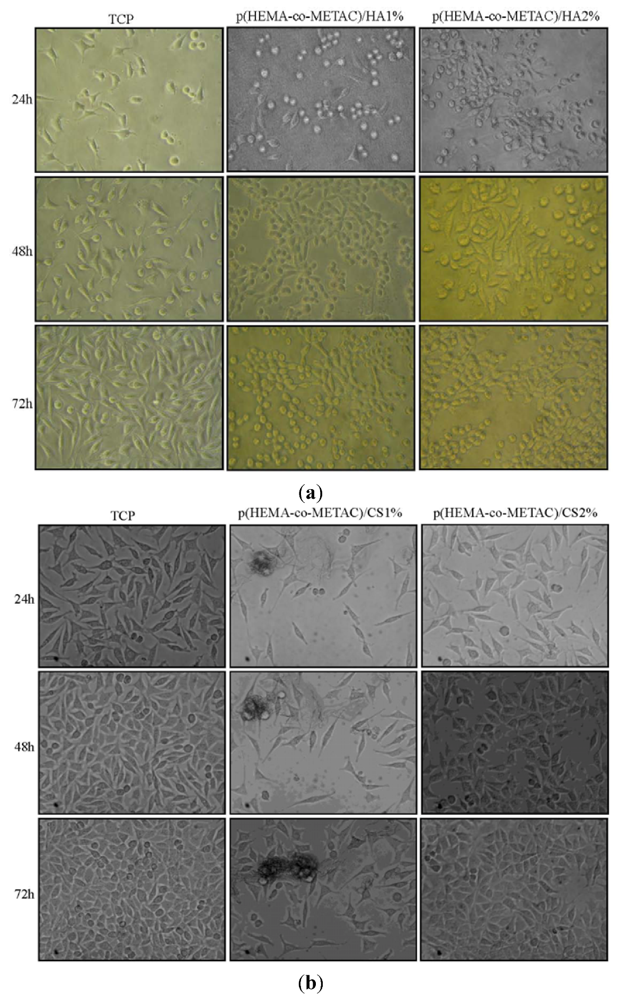 Jfb 03 00225 g005 1024