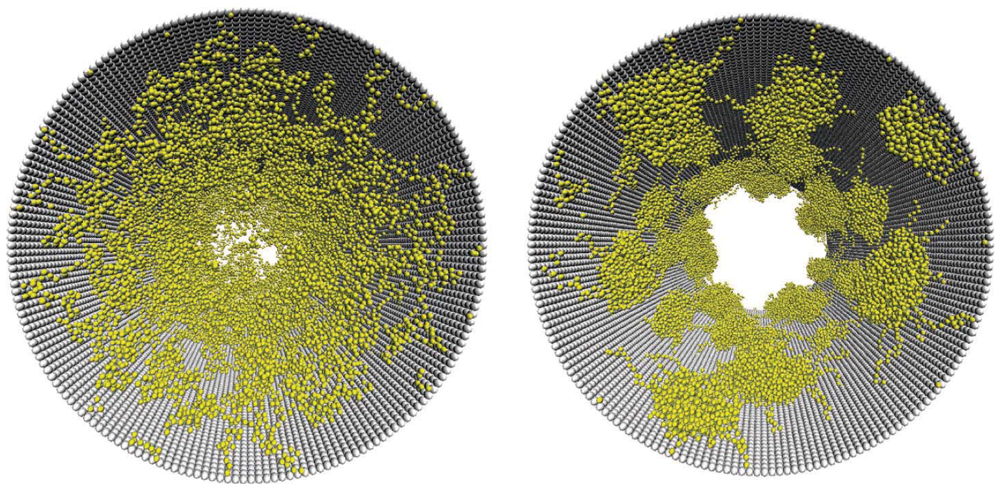 Jfb 03 00239 g004 1024