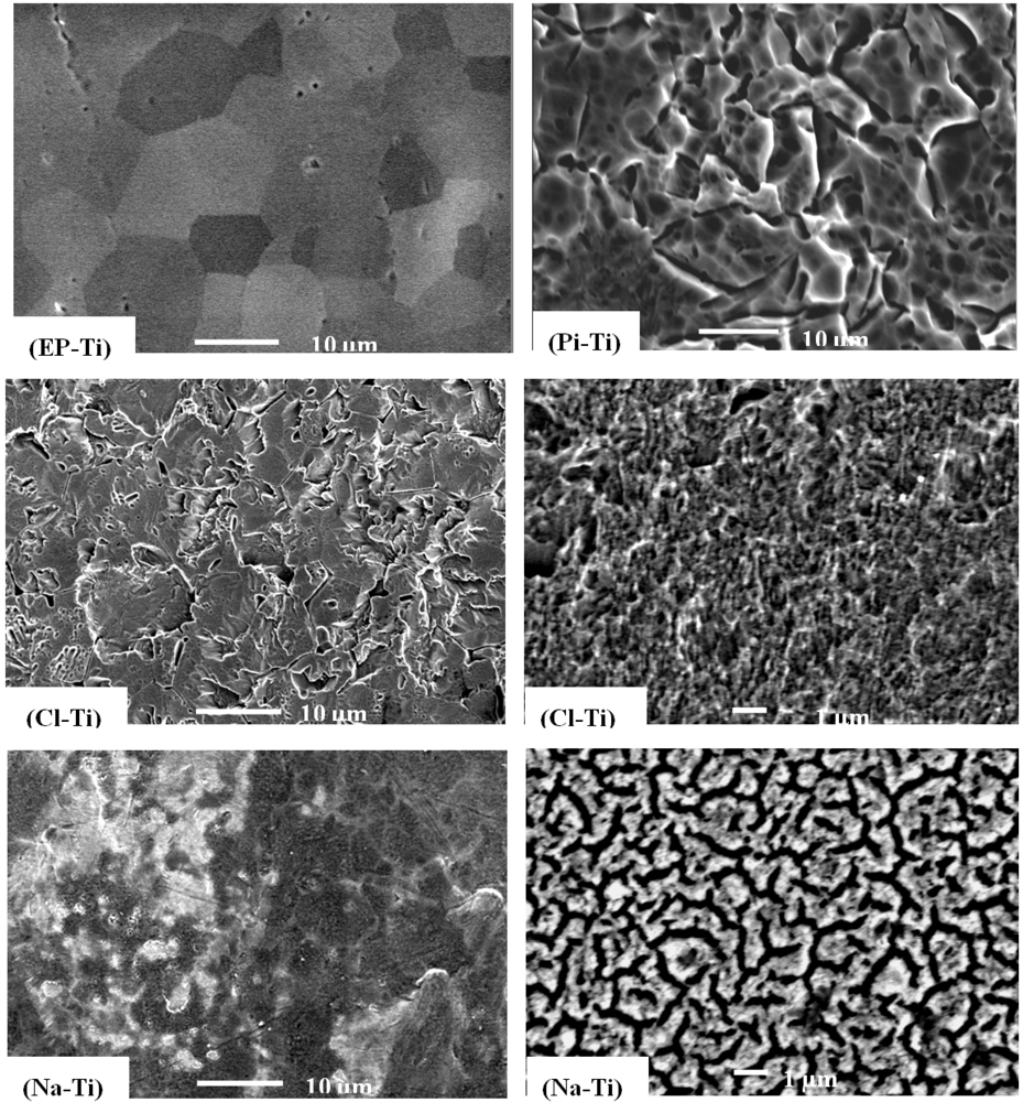 Jfb 03 00327 g001 1024