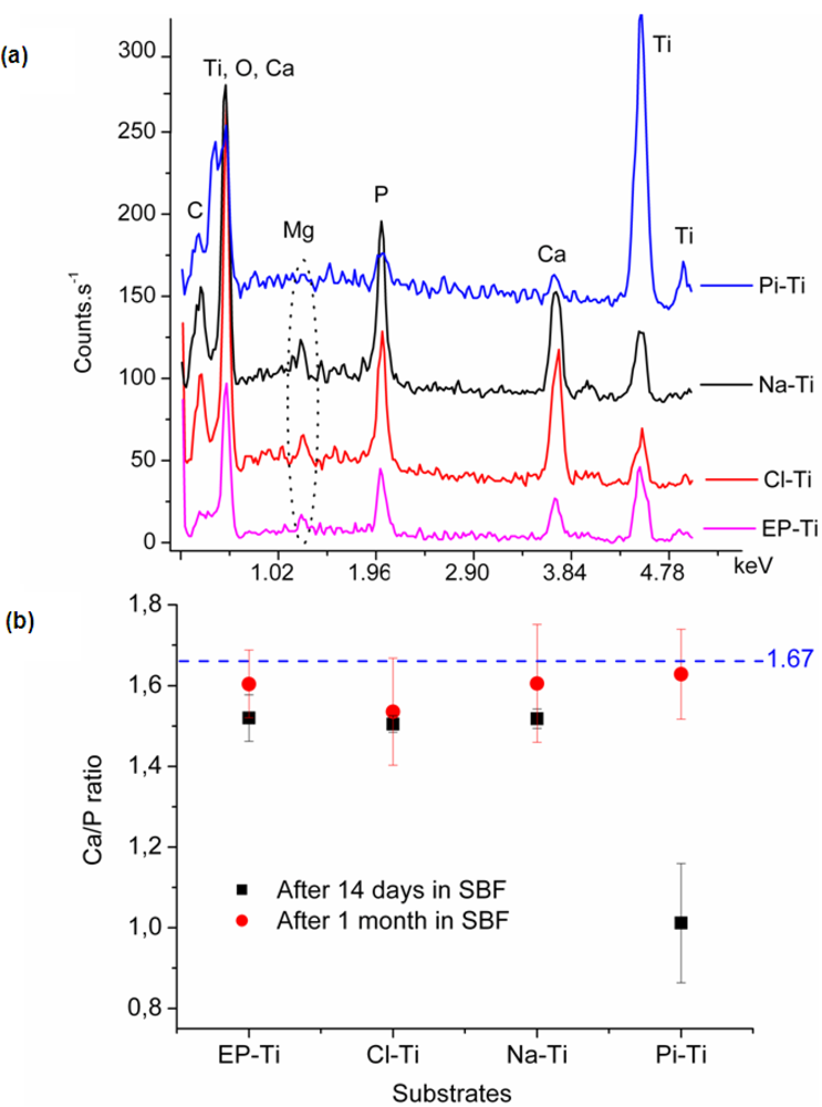 Jfb 03 00327 g007 1024