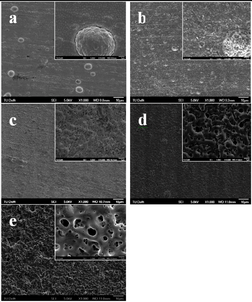 Jfb 03 00349 g002 1024