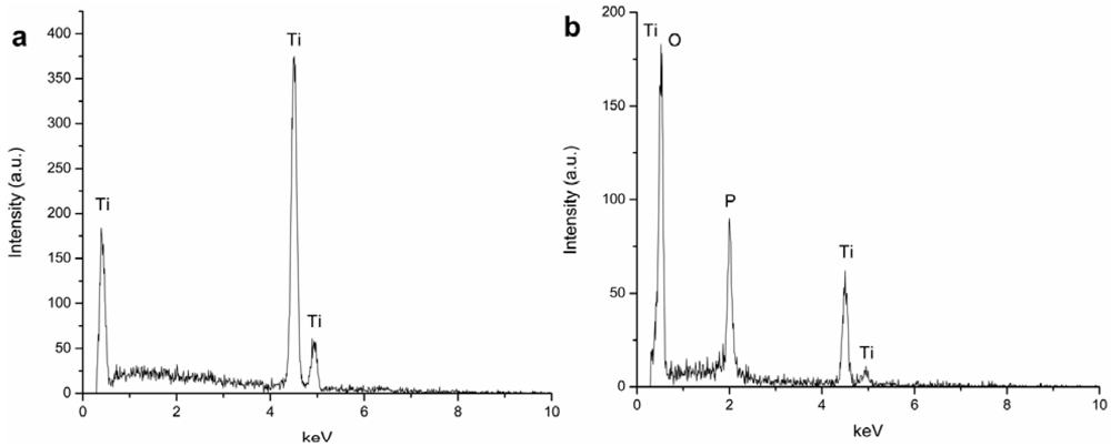 Jfb 03 00349 g004 1024