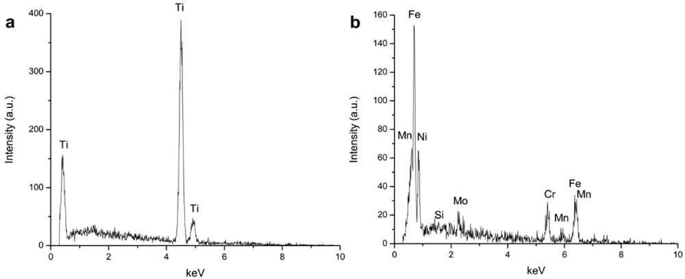 Jfb 03 00349 g006 1024