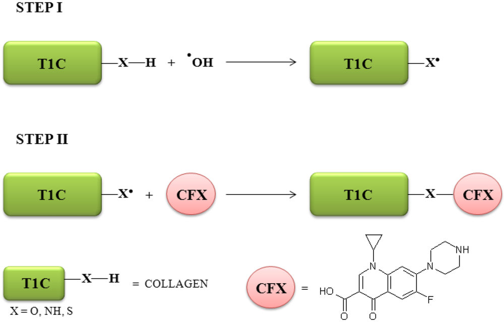 Jfb 03 00361 g002 1024