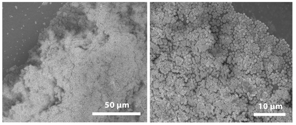 Jfb 03 00418 g004 1024