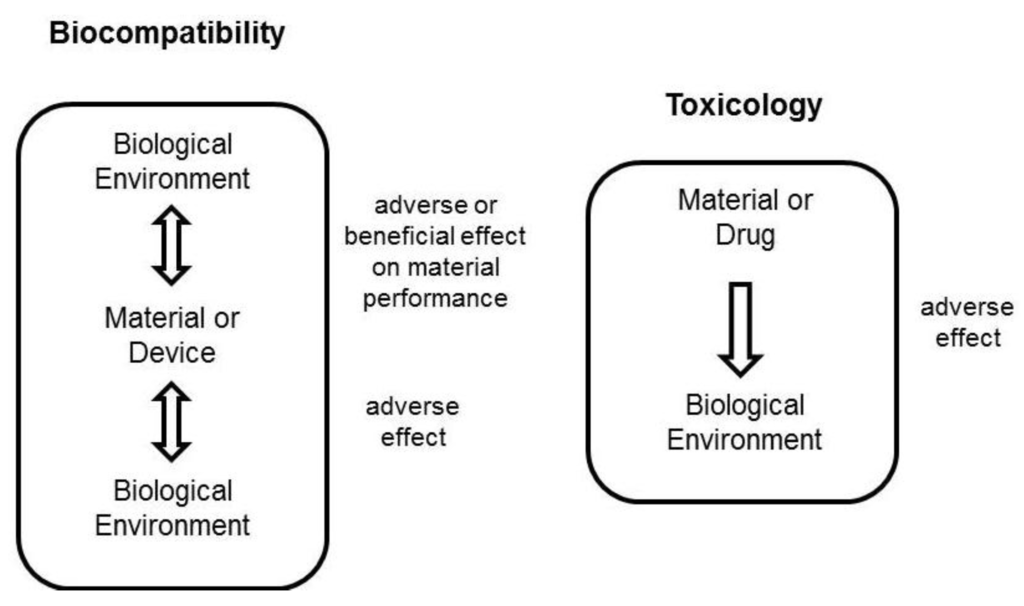 Jfb 03 00615 g002 1024