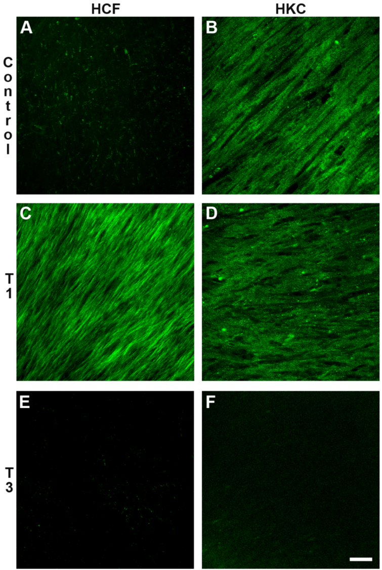 Jfb 03 00760 g004 1024