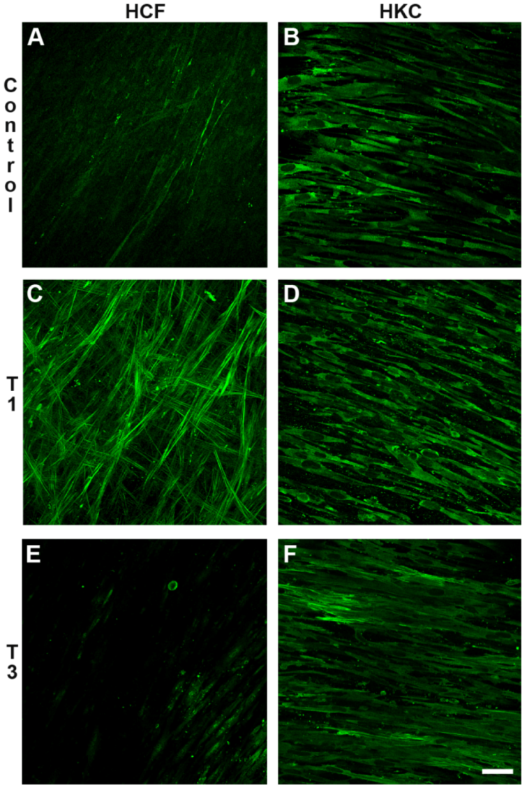 Jfb 03 00760 g005 1024