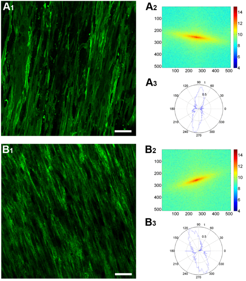 Jfb 03 00760 g007 1024