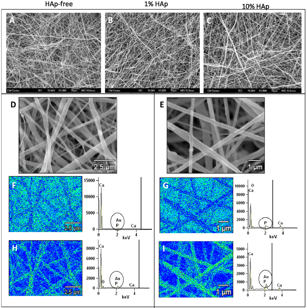 Jfb 03 00776 g001 1024