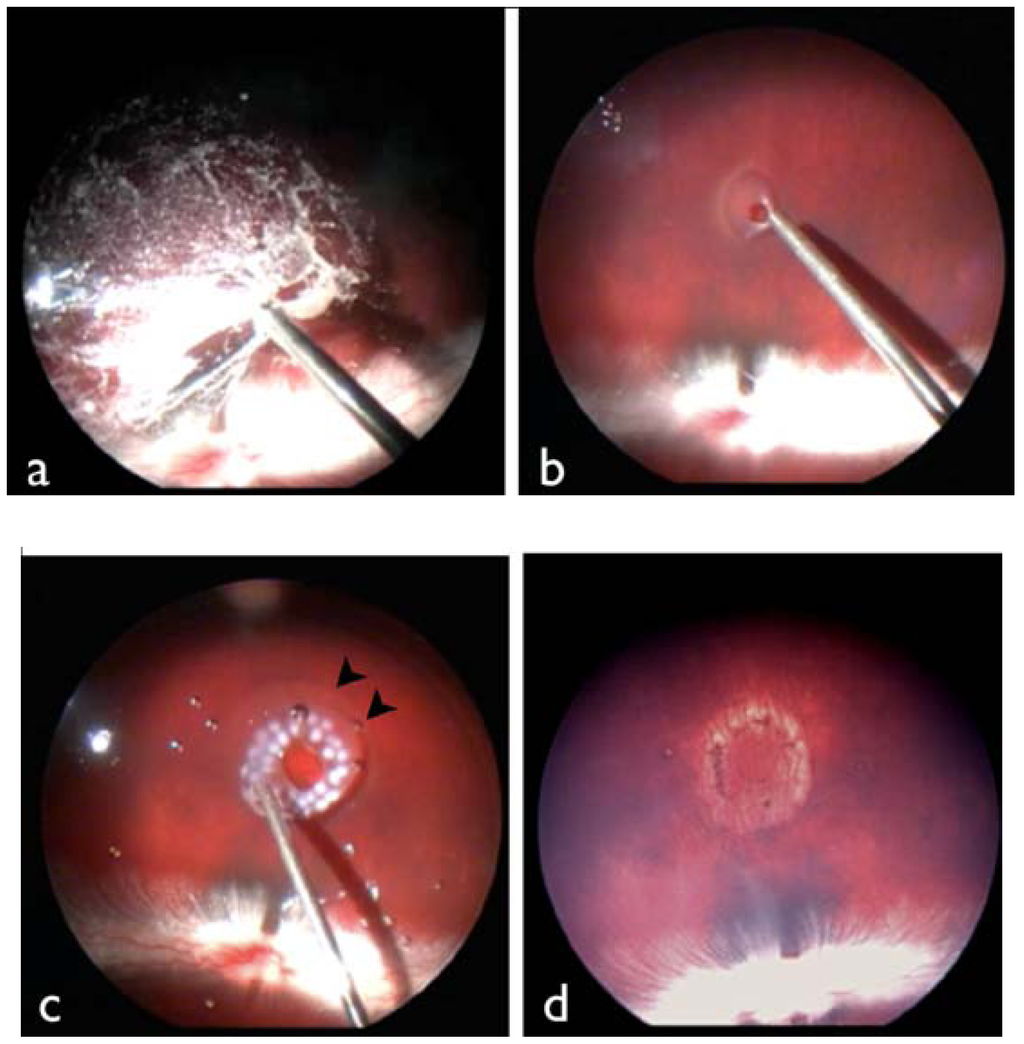 Jfb 04 00006 g004 1024