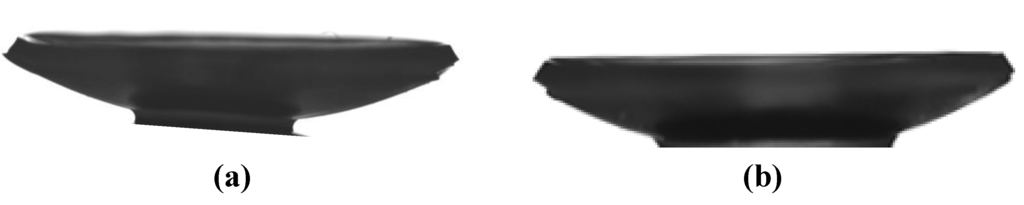 Jfb 04 00162 g002 1024