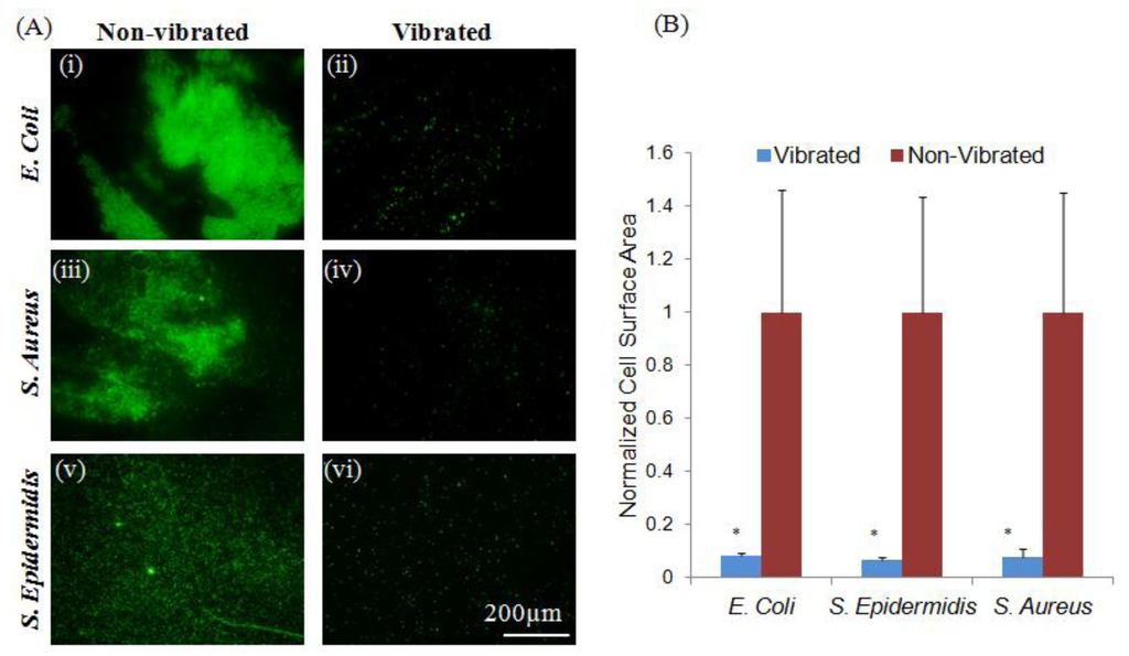 Jfb 05 00015 g004 1024