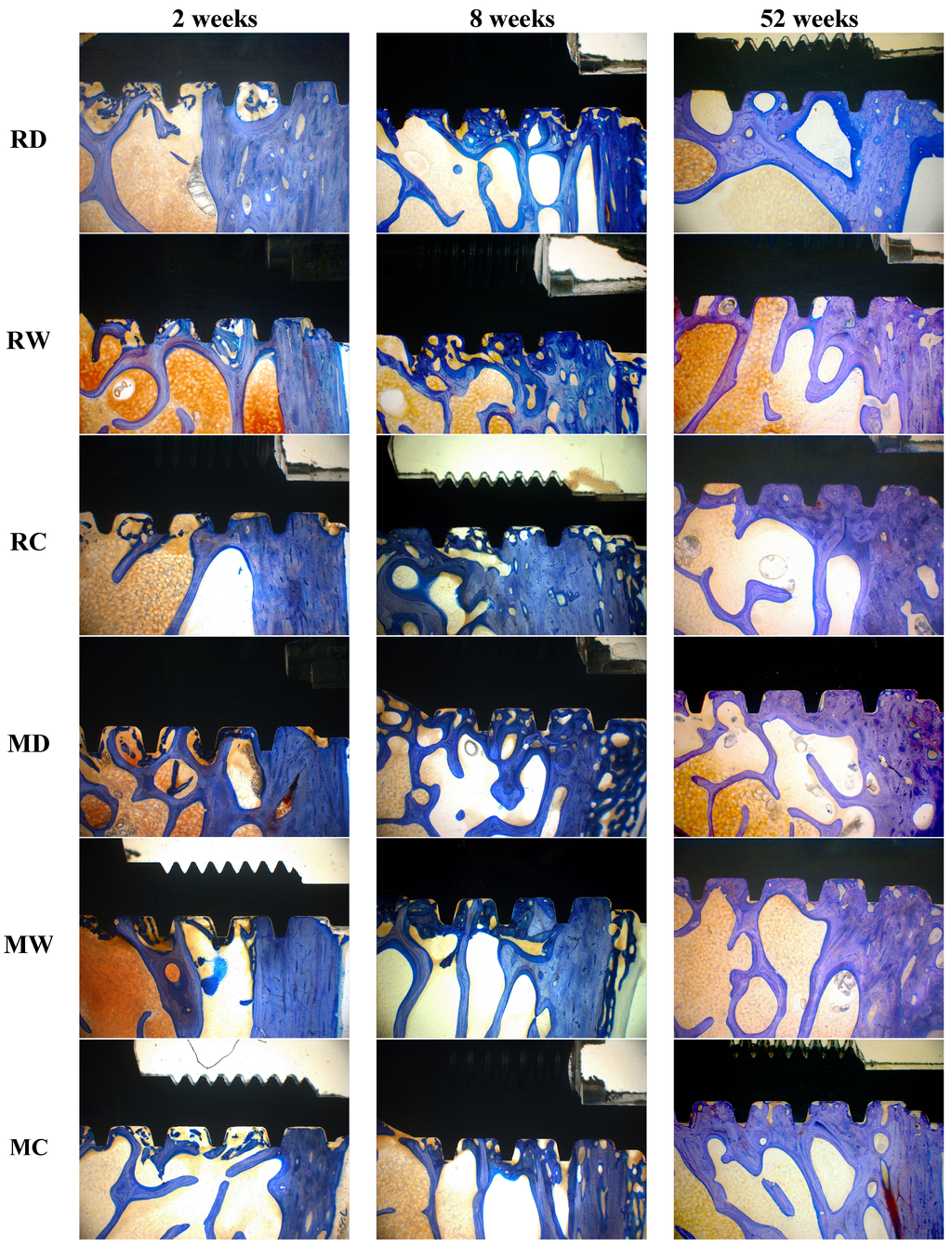 Jfb 05 00135 g003 1024