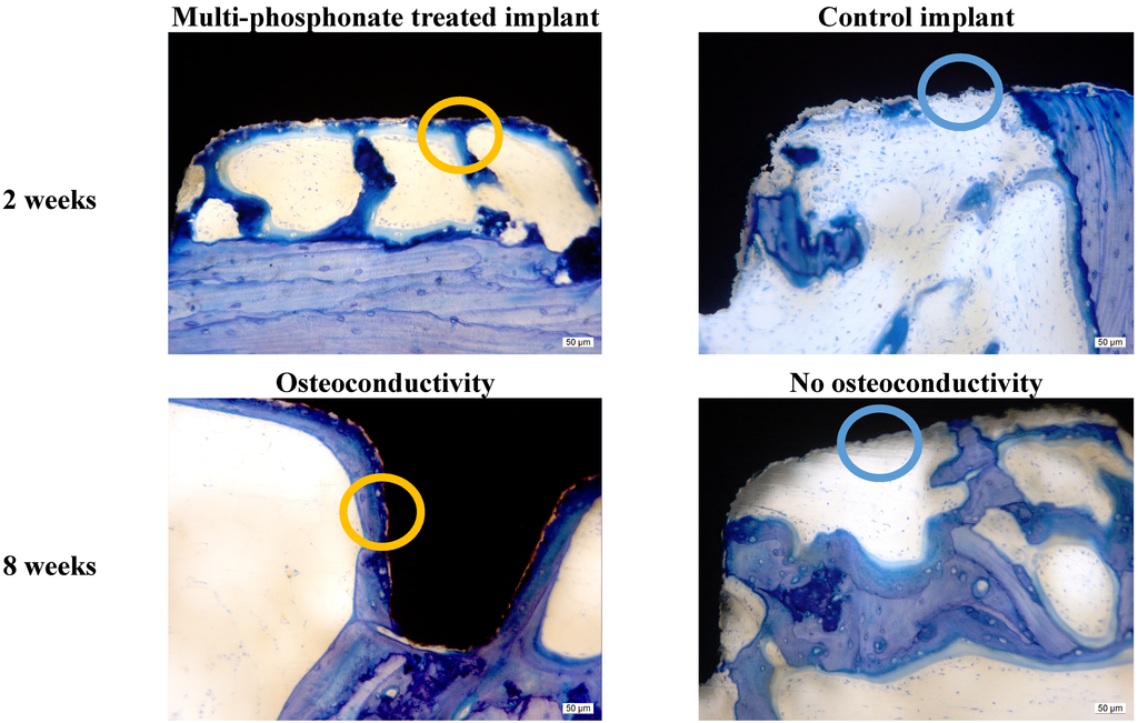 Jfb 05 00135 g004 1024