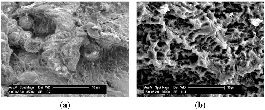 Jfb 05 00135 g009 1024