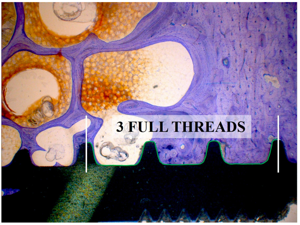 Jfb 05 00135 g011 1024