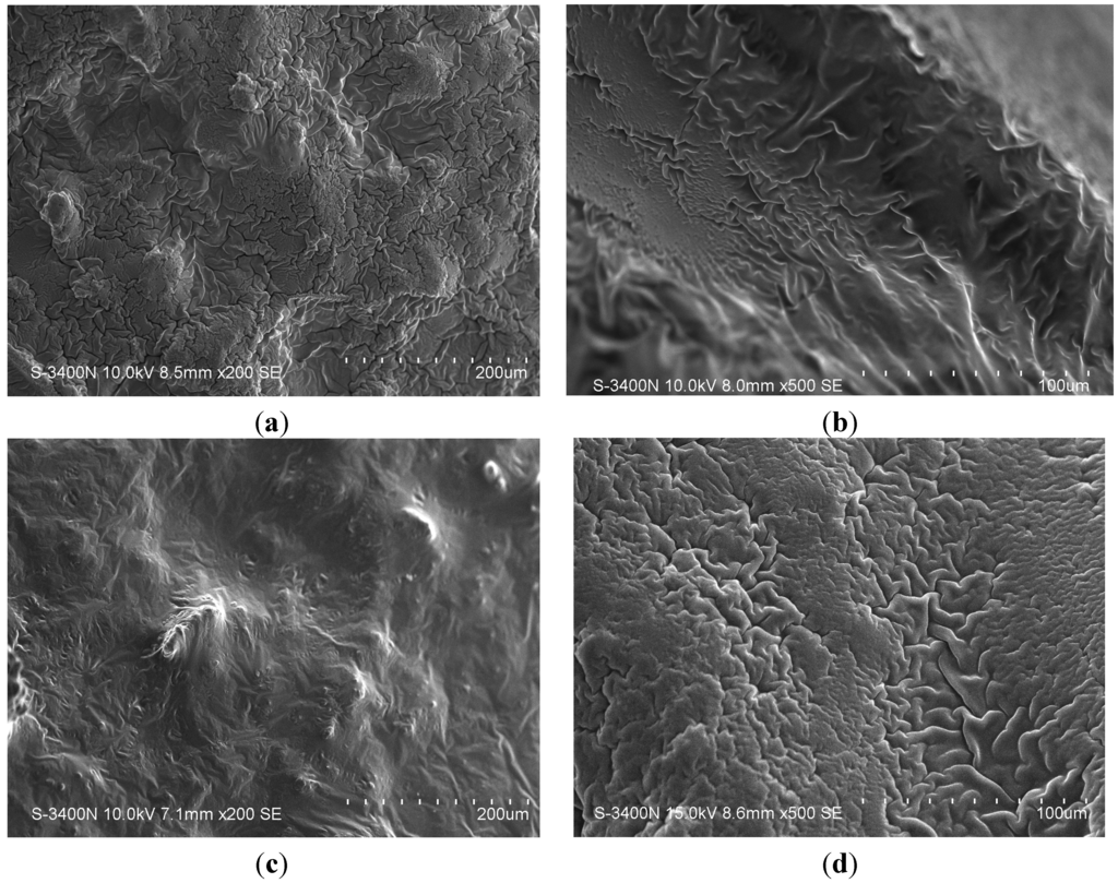 Jfb 05 00183 g001 1024