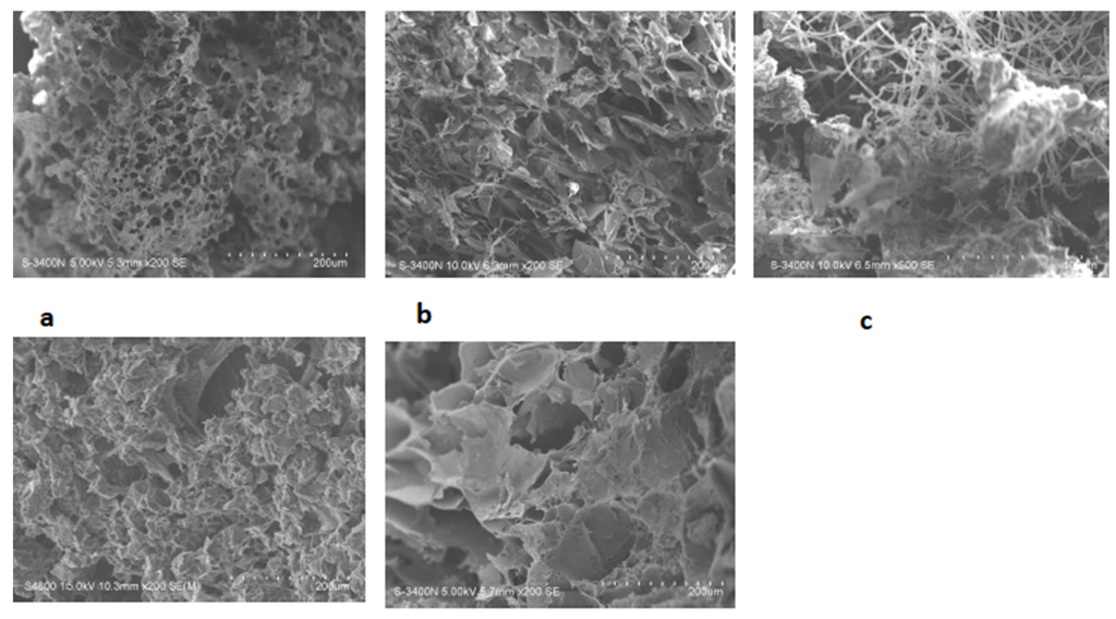 Jfb 05 00259 g001 1024