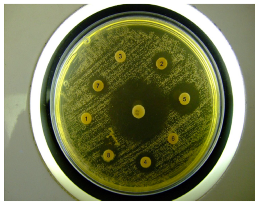 Jfb 05 00259 g006 1024