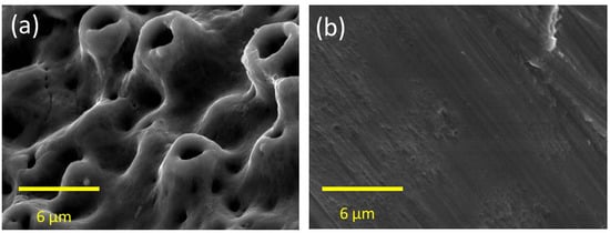 Jfb 06 00143 g005 550