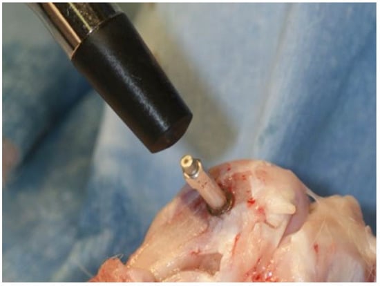 Jfb 06 00143 g006 550