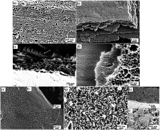 Jfb 06 00153 g001 550