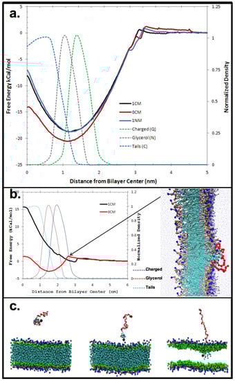 Jfb 06 00171 g002 550