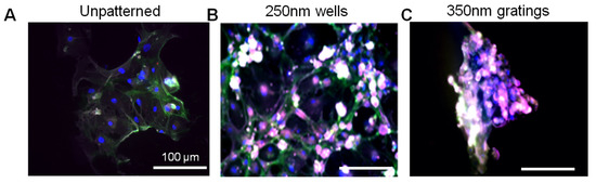 Jfb 06 00241 g005 550