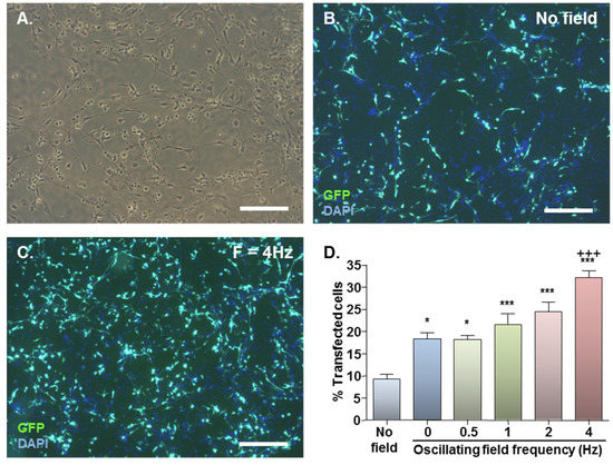 Jfb 06 00259 g001 550