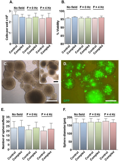 Jfb 06 00259 g002 550