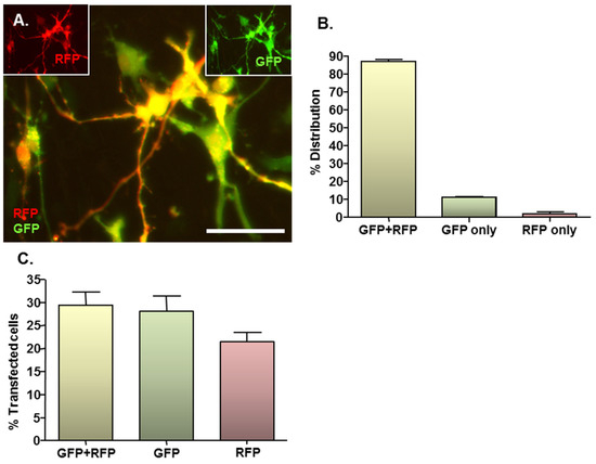 Jfb 06 00259 g003 550