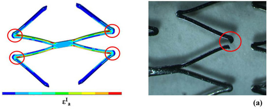 Jfb 06 00299 g015a 550