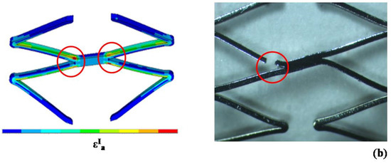 Jfb 06 00299 g015b 550