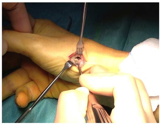 Jfb 06 00318 g001 550