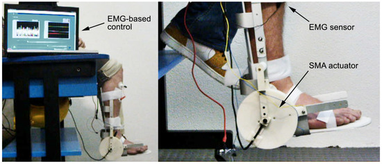 Jfb 06 00328 g002 550