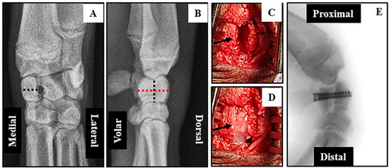 Jfb 06 00407 g002 550