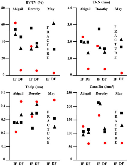 Jfb 06 00407 g004 550