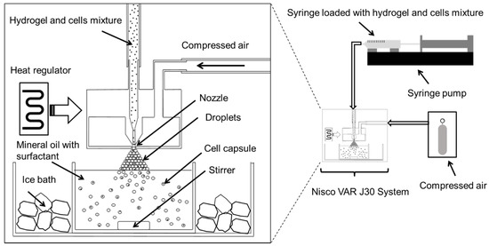 Jfb 06 00439 g008 550